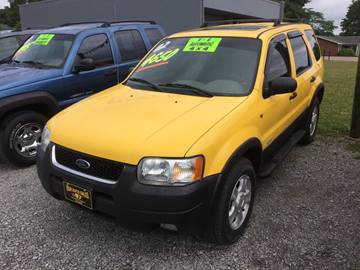 2002 Ford Escape for sale at H & H Auto Sales in Athens TN