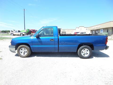 2004 Chevrolet Silverado 1500 for sale at AUTO FLEET REMARKETING, INC. in Van Alstyne TX