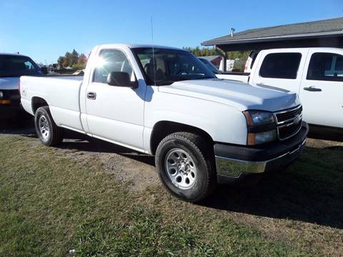 2006 Chevrolet Silverado 1500 for sale at AUTO FLEET REMARKETING, INC. in Van Alstyne TX