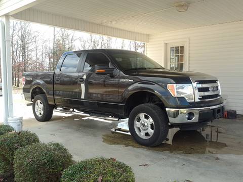 2014 Ford F-150 for sale at WALKERTOWN AUTOBODY in Savannah TN