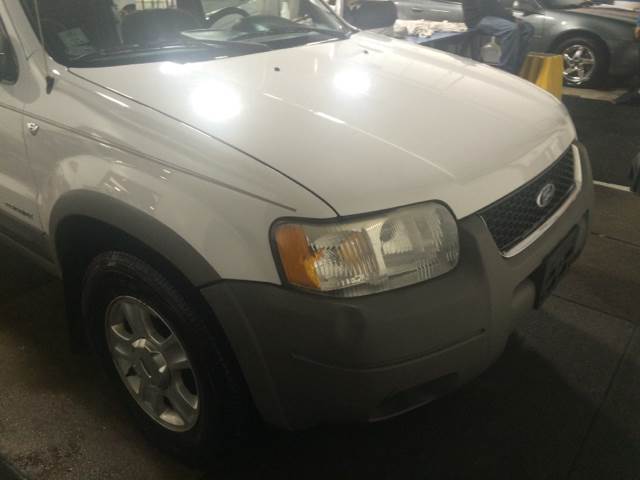 2002 Ford Escape for sale at RIVER AUTO SALES CORP in Maywood IL