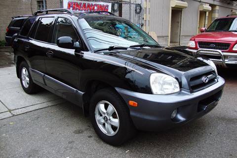 2006 Hyundai Santa Fe for sale at Discount Auto Sales in Passaic NJ