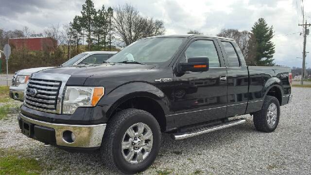 2010 Ford F-150 for sale at AM Automotive in Erin TN