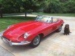 1967 Jaguar E-Type for sale at Its Alive Automotive in Saint Louis MO