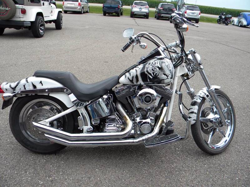 2001 Harley-Davidson Thunder Mountain Custom