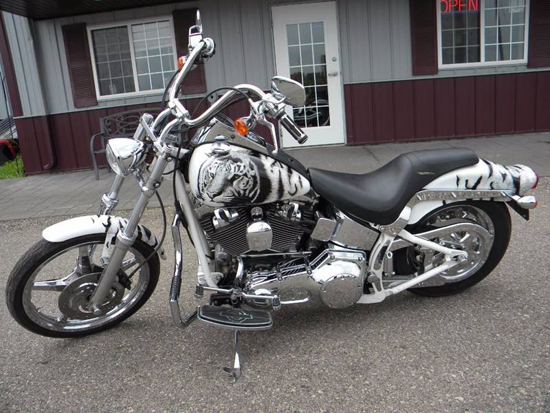 2001 Harley-Davidson Thunder Mountain Custom