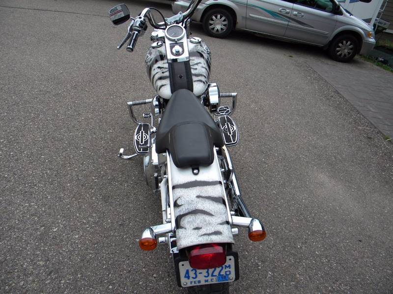 2001 Harley-Davidson Thunder Mountain Custom