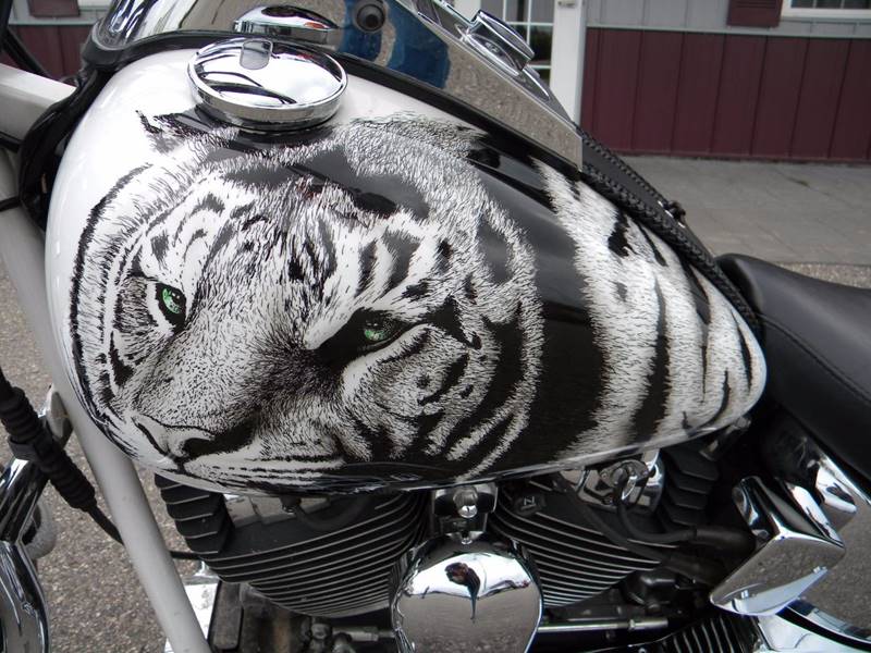 2001 Harley-Davidson Thunder Mountain Custom