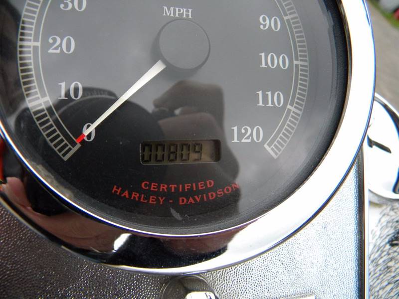 2001 Harley-Davidson Thunder Mountain Custom