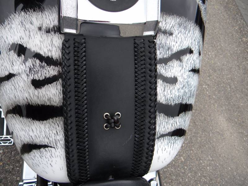 2001 Harley-Davidson Thunder Mountain Custom