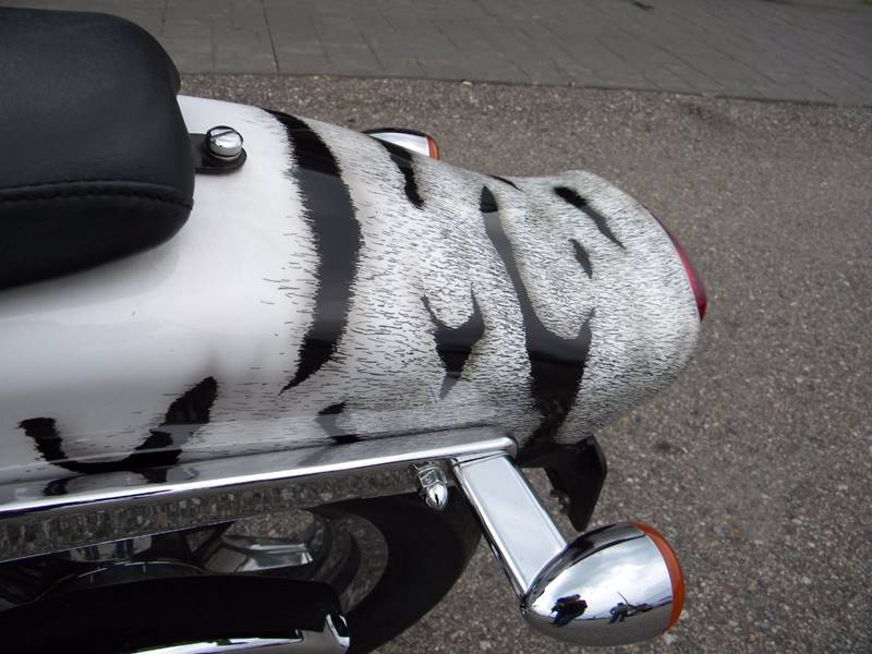 2001 Harley-Davidson Thunder Mountain Custom