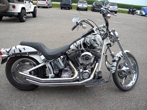 2001 Harley-Davidson Thunder Mountain Custom