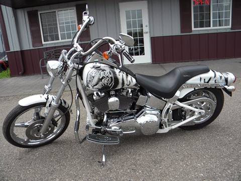 2001 Harley-Davidson Thunder Mountain Custom