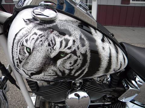 2001 Harley-Davidson Thunder Mountain Custom