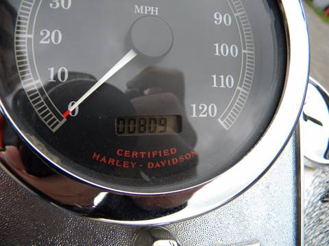 2001 Harley-Davidson Thunder Mountain Custom