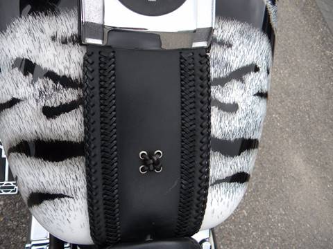 2001 Harley-Davidson Thunder Mountain Custom