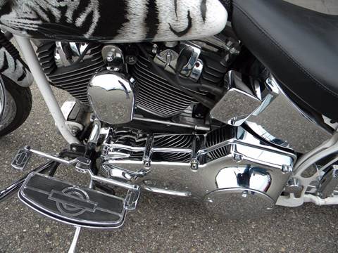 2001 Harley-Davidson Thunder Mountain Custom