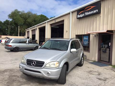 2002 Mercedes-Benz M-Class for sale at Budget Motorcars in Tampa FL