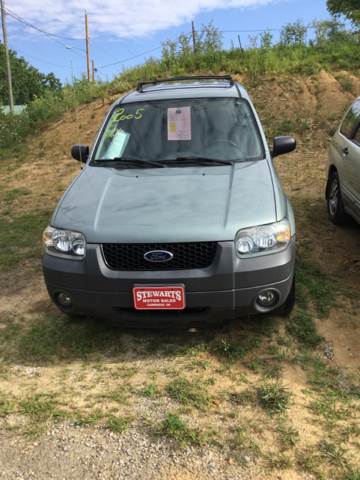 2005 Ford Escape for sale at Stewart's Motor Sales in Byesville OH