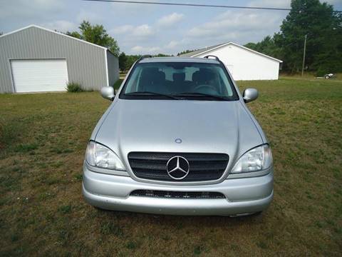 2001 Mercedes-Benz M-Class for sale at Clark Automotive in Lake Ann MI