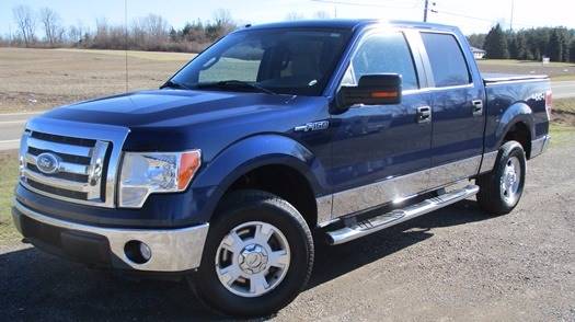 2010 Ford F-150 for sale at BSTMotorsales.com in Bellefontaine OH