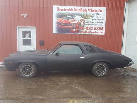 1973 Pontiac GTO for sale at Countryside Auto Body & Sales, Inc in Gary SD