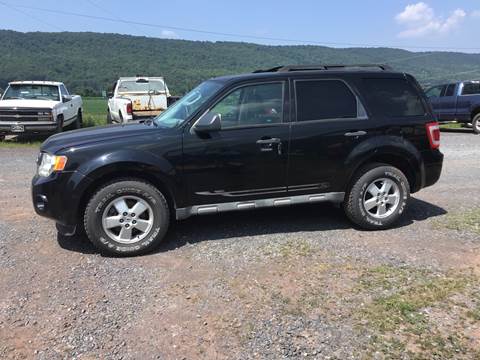 2009 Ford Escape for sale at Troy's Auto Sales in Dornsife PA