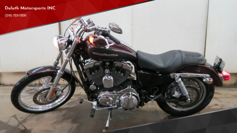 2005 harley davidson roadster 1200 for sale