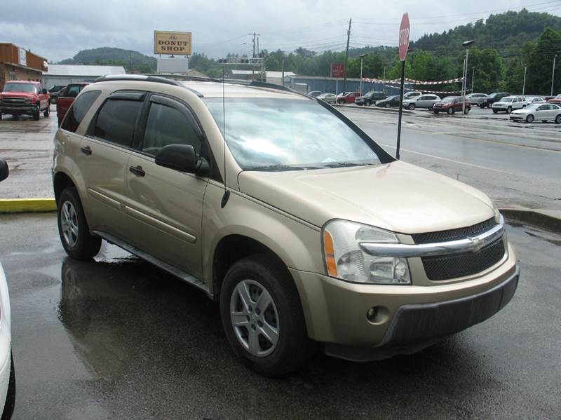 2005 Chevrolet Equinox for sale at RACEN AUTO SALES LLC in Buckhannon WV