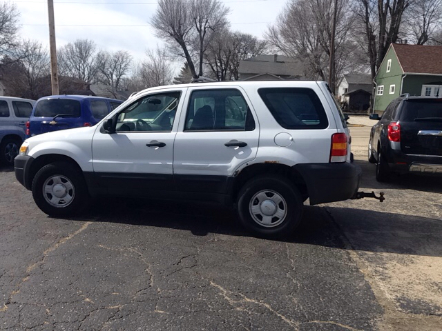 2006 Ford Escape for sale at TRI-COUNTY AUTO SALES in Spring Valley IL