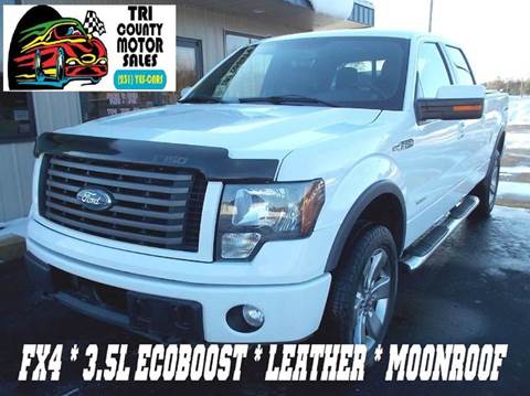 2011 Ford F-150 for sale at Tri County Motor Sales in Howard City MI
