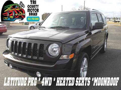 2014 Jeep Patriot for sale at Tri County Motor Sales in Howard City MI