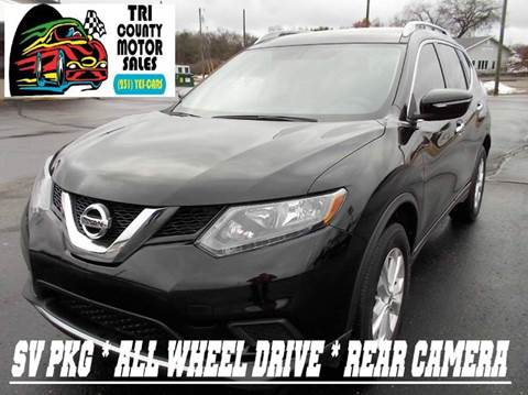 2014 Nissan Rogue for sale at Tri County Motor Sales in Howard City MI