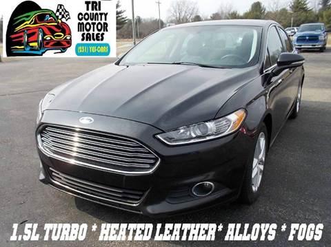 2015 Ford Fusion for sale at Tri County Motor Sales in Howard City MI