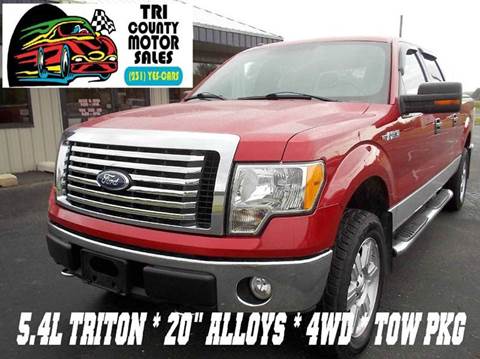 2010 Ford F-150 for sale at Tri County Motor Sales in Howard City MI