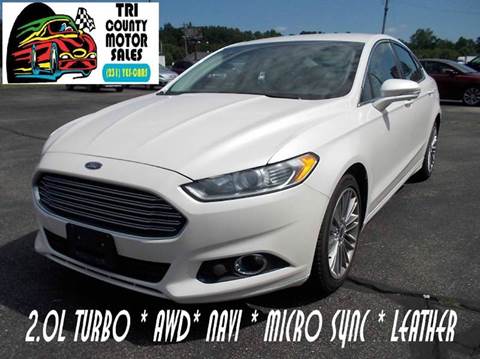 2013 Ford Fusion for sale at Tri County Motor Sales in Howard City MI