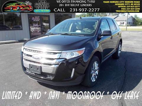 2014 Ford Edge for sale at Tri County Motor Sales in Howard City MI