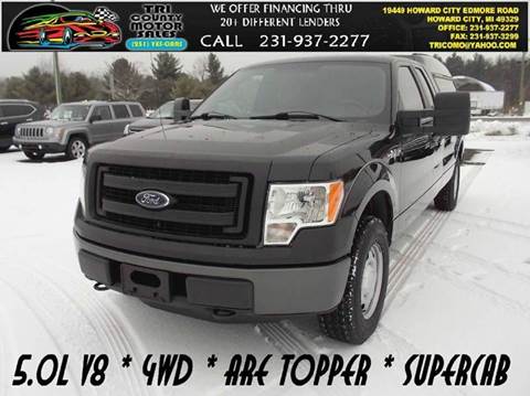 2014 Ford F-150 for sale at Tri County Motor Sales in Howard City MI