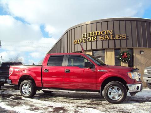 2013 Ford F-150 for sale at Hibdon Motor Sales in Clinton Township MI
