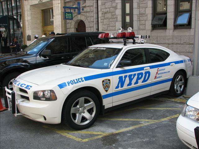 2011 NYPD Photos NYPD Photos