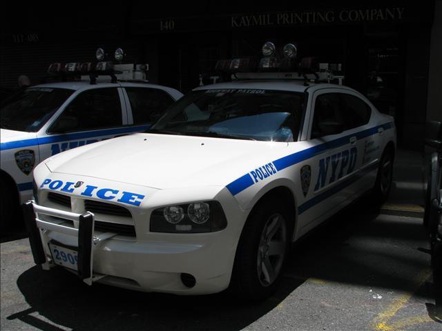 2011 NYPD Photos NYPD Photos