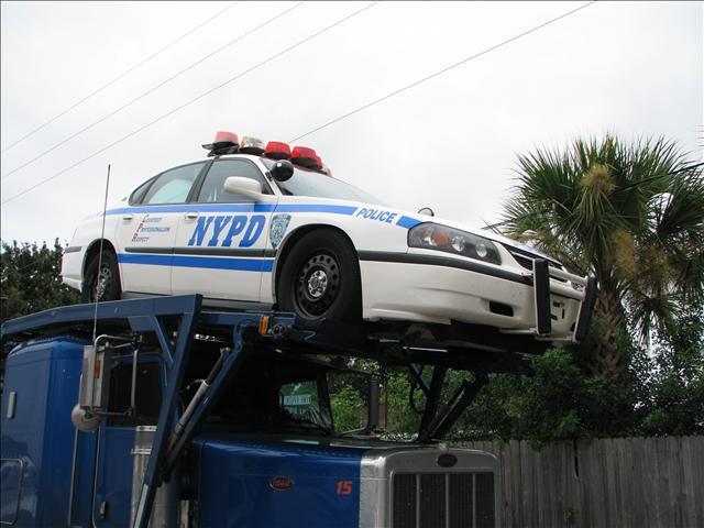 2011 NYPD Photos NYPD Photos