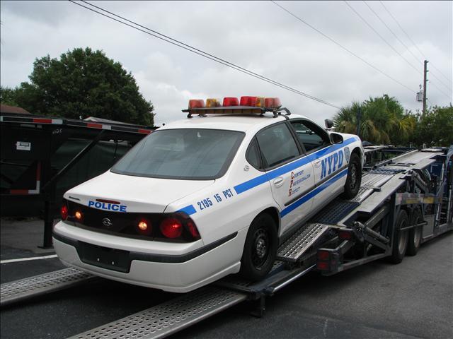 2011 NYPD Photos NYPD Photos