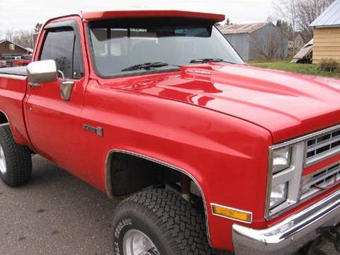 1985 Chevrolet C/K 10 Series for sale at SCHUMACHER AUTO SALES & SERVICE in Park Falls WI