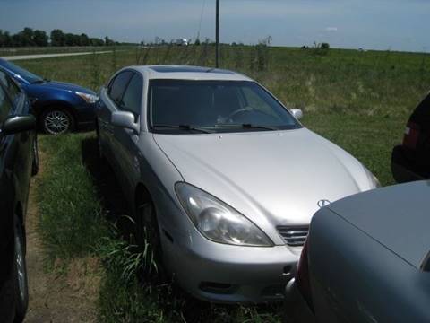 2003 Lexus ES 300 for sale at BEST CAR MARKET INC in Mc Lean IL