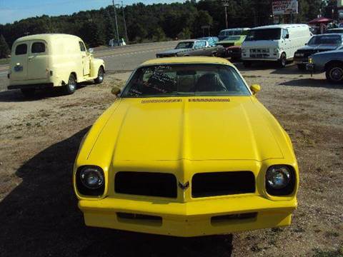 1976 Pontiac firerbird for sale at Marshall Motors Classics in Jackson MI