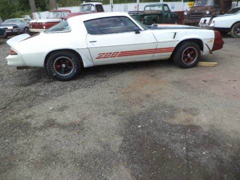 1981 Chevrolet Camaro for sale at Marshall Motors Classics in Jackson MI