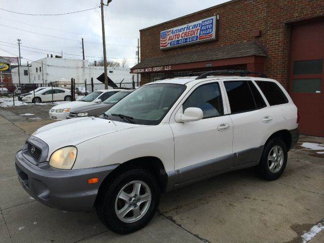 2004 Hyundai Santa Fe for sale at AMERICAN AUTO CREDIT in Cleveland OH
