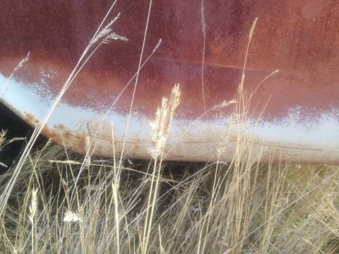 1959 Plymouth Two Suburban