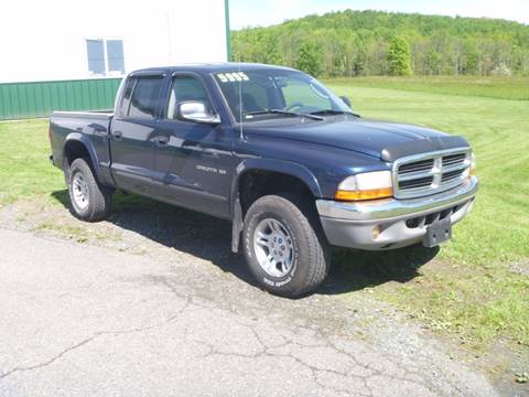 2002 Dodge Dakota for sale at Nesters Autoworks in Bally PA